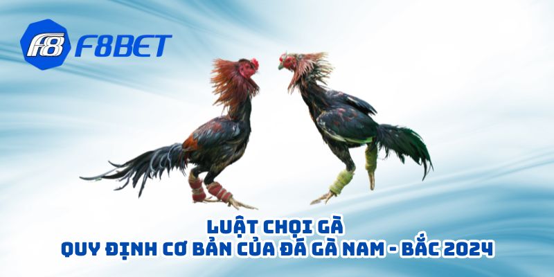 Luật Chọi Gà - Quy Định Cơ Bản Của Đá Gà Nam - Bắc 2024